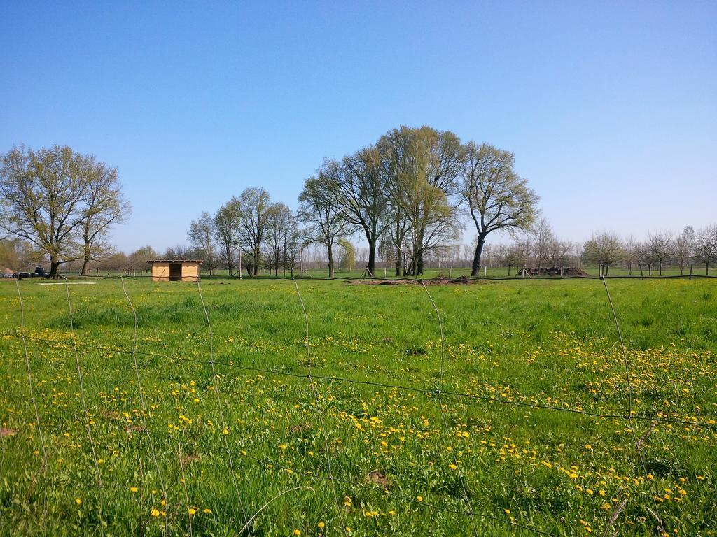 Ferienhof Idyll Am Kleinen Fliess Бург Екстериор снимка