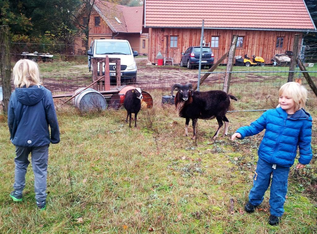 Ferienhof Idyll Am Kleinen Fliess Бург Екстериор снимка
